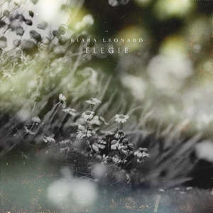 国色天香一卡2卡三卡4卡在线
